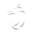BRI Super League logo